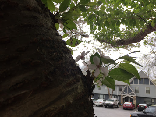 Golf Course «Northwood Country Club», reviews and photos, 3157 Club Dr, Lawrenceville, GA 30044, USA