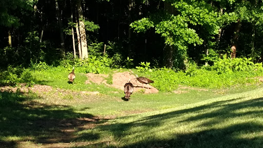 Golf Driving Range «Windtree Golf Club», reviews and photos, 810 Nonaville Rd, Mt Juliet, TN 37122, USA