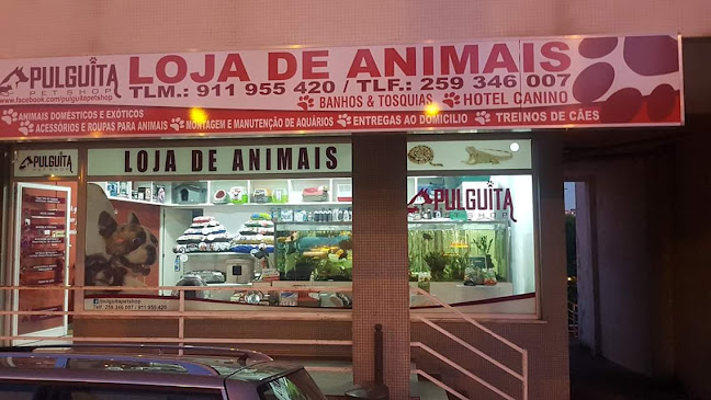 Pulguita Pet Shop