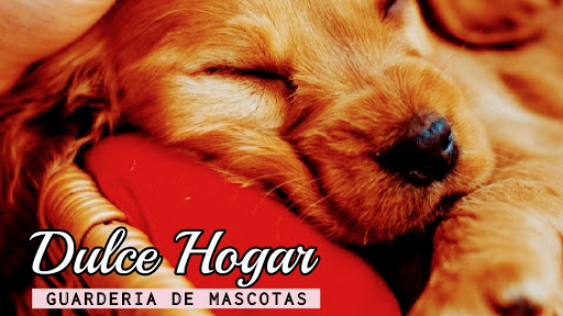 Dulce Hogar Guardería de Mascotas Cusco