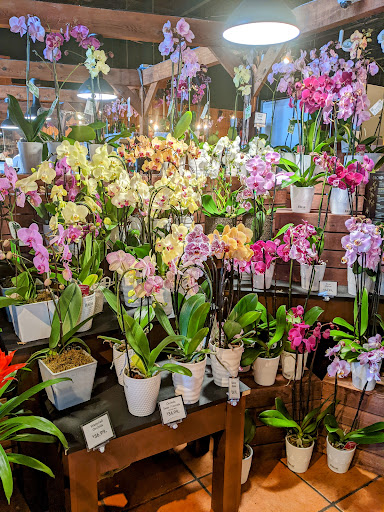 Grocery Store «The Fresh Market», reviews and photos, 18299 Biscayne Blvd, Aventura, FL 33160, USA