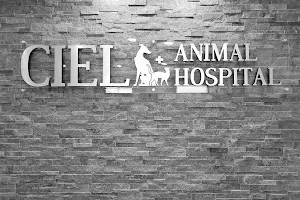 Ciel Animal Hospital image