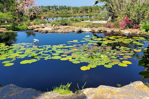 Karen and Robert Scott Florida Garden