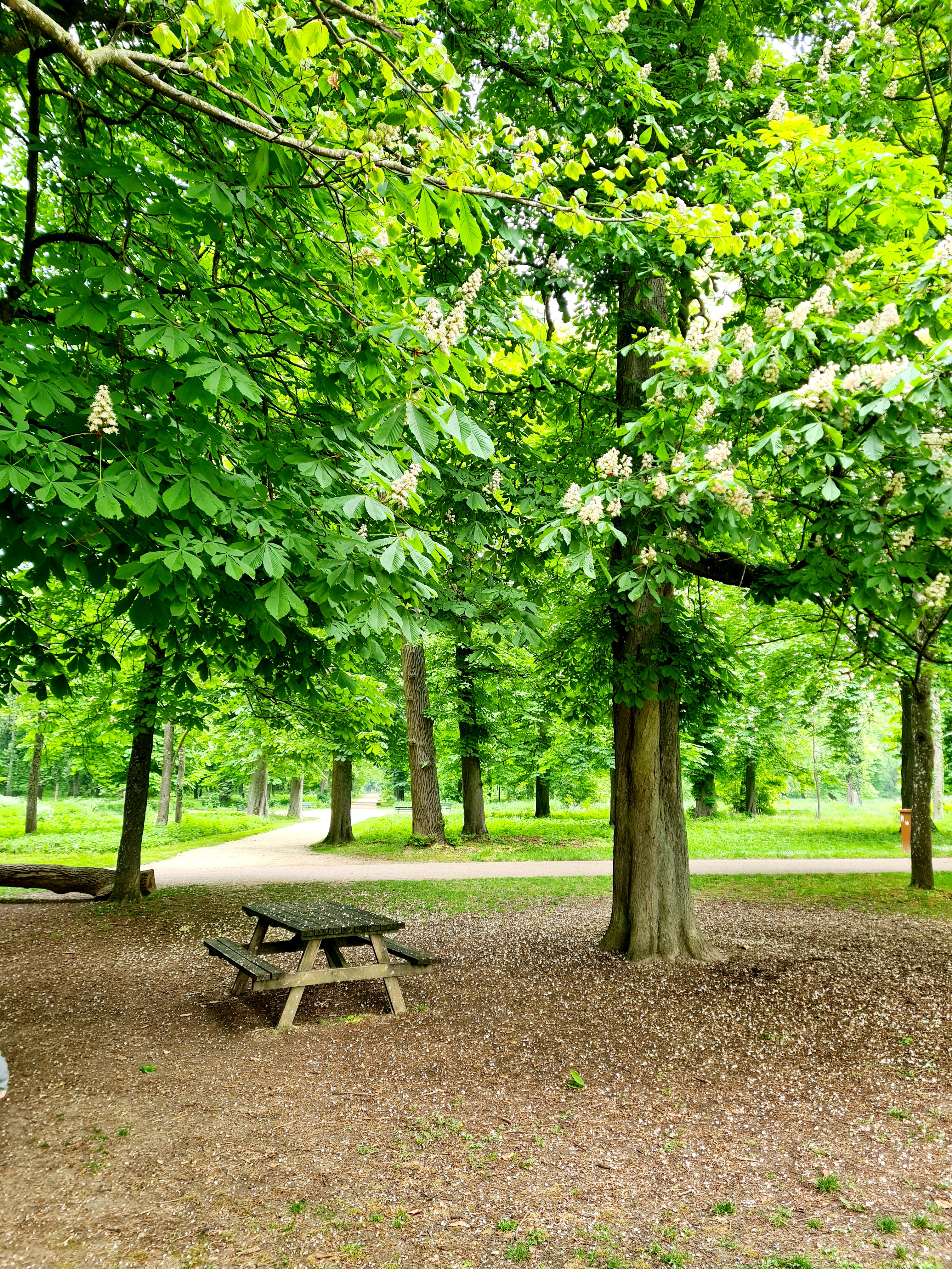 Photo n° 4 de l'avis de Pascale.a fait le 14/05/2022 à 20:10