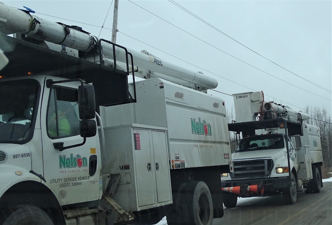 Nelson Tree Services