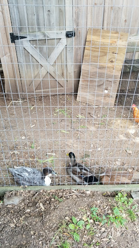 Produce Market «Highland Orchards Farm Market», reviews and photos, 1431 Foulk Rd, Wilmington, DE 19803, USA