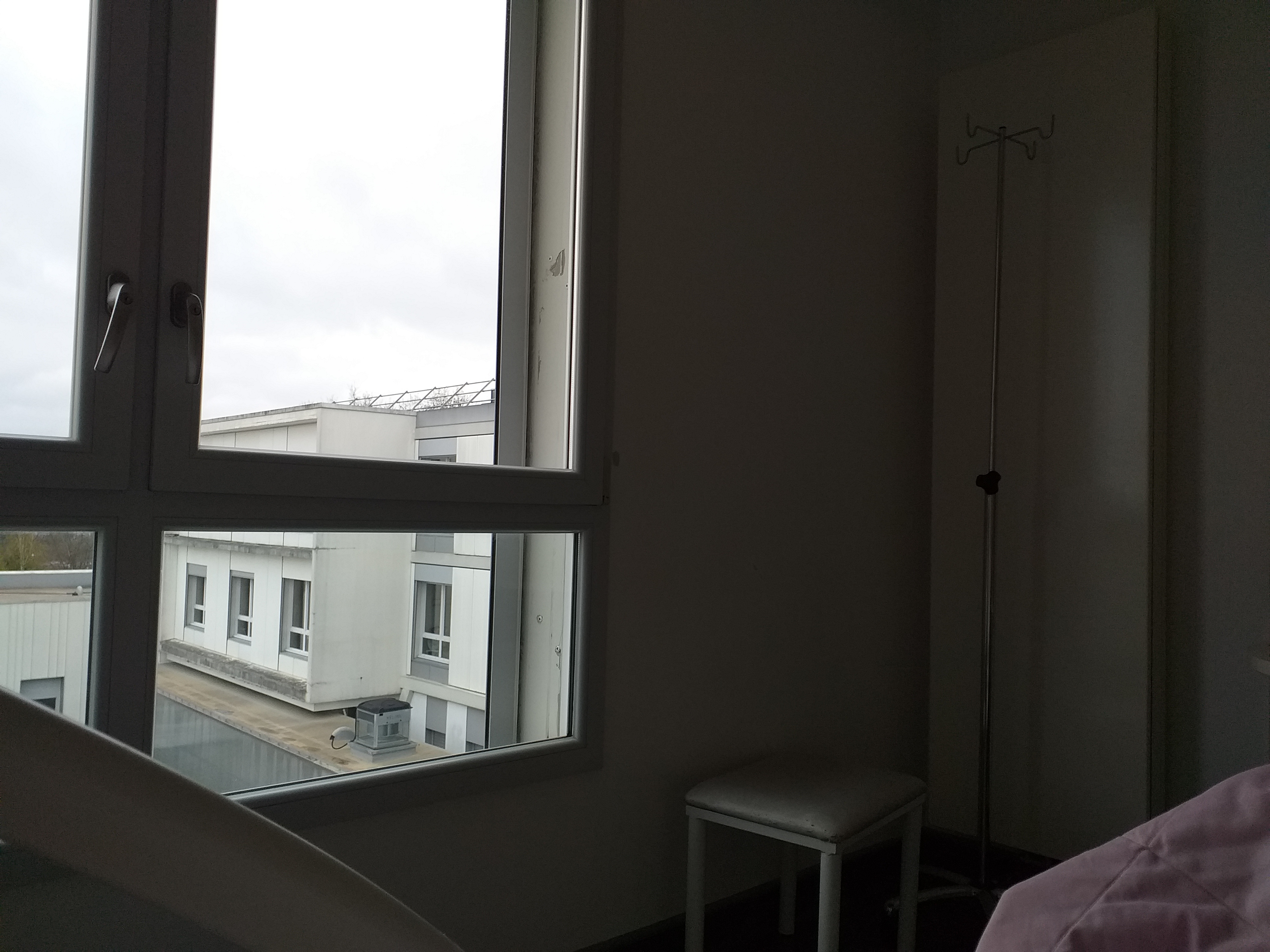 Photo n° 2 de l'avis de GÉRARD.U fait le 03/04/2023 à 16:21
