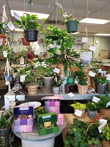 Florist «Bonnie Brae Flowers Inc», reviews and photos, 5595 E Evans Ave, Denver, CO 80222, USA