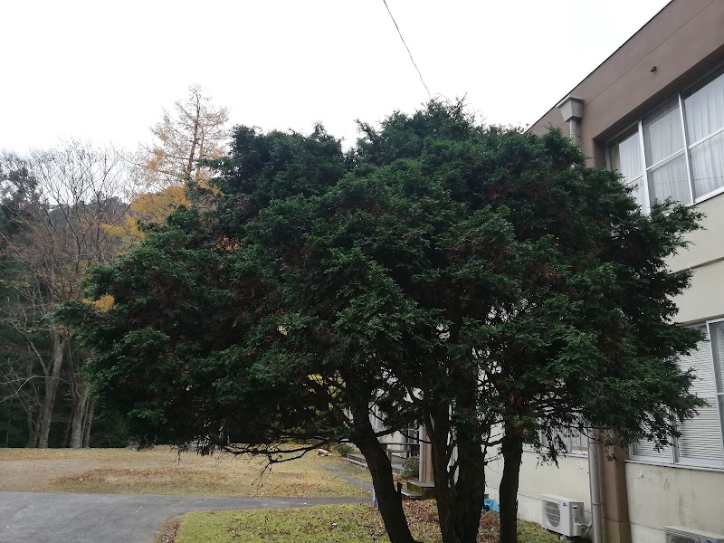 三重大学 生物資源学部付属演習林 三重県津市美杉町川上 大学院 グルコミ