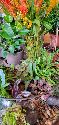 Florist «Toadflax Inc», reviews and photos, 5500 Walnut St, Pittsburgh, PA 15232, USA