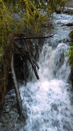 Park «MacLeay Park Entrance», reviews and photos, 2960 NW Upshur St, Portland, OR 97210, USA