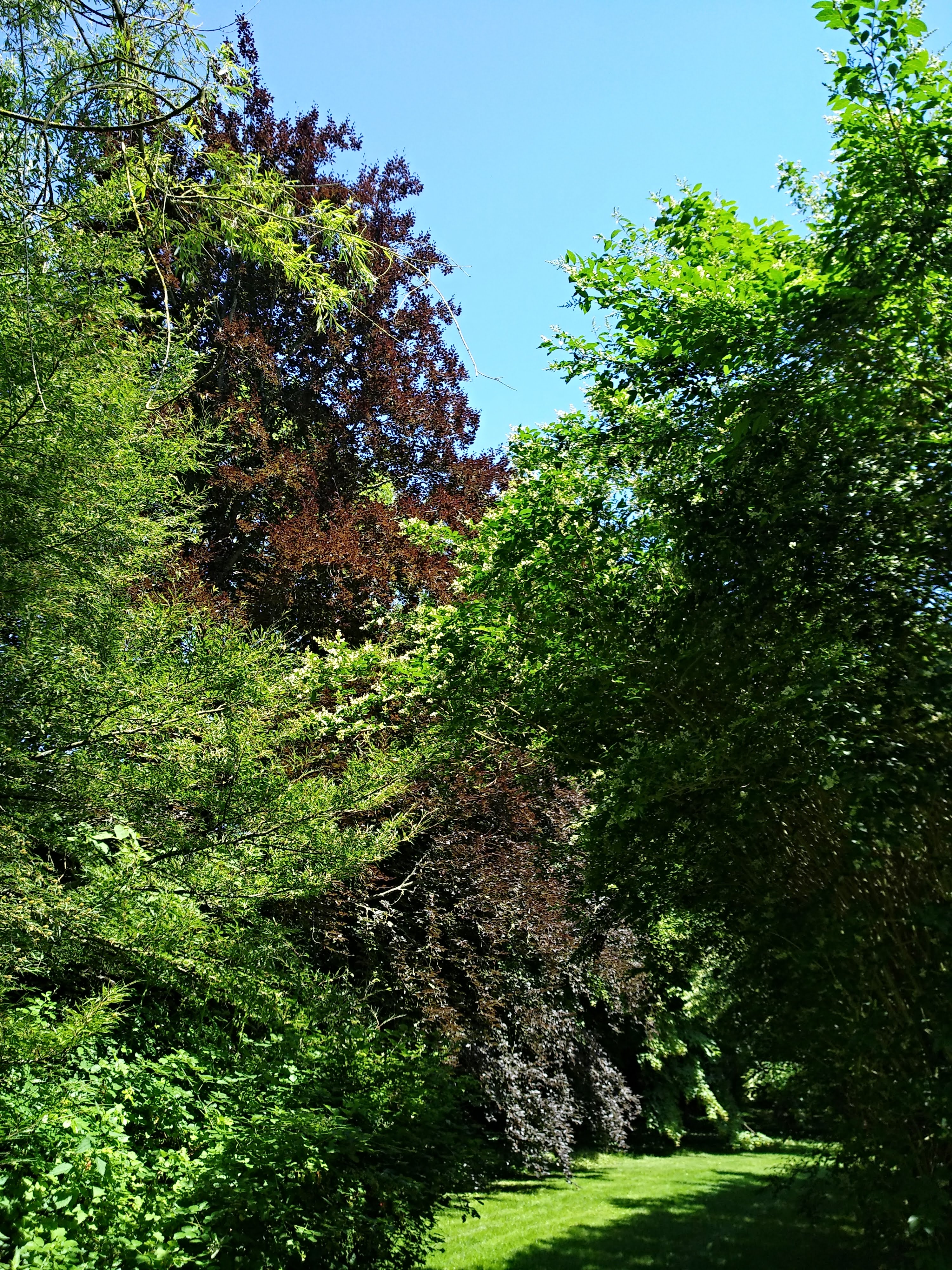 Photo n° 36 de l'avis de Ronald.o fait le 28/06/2018 à 17:08