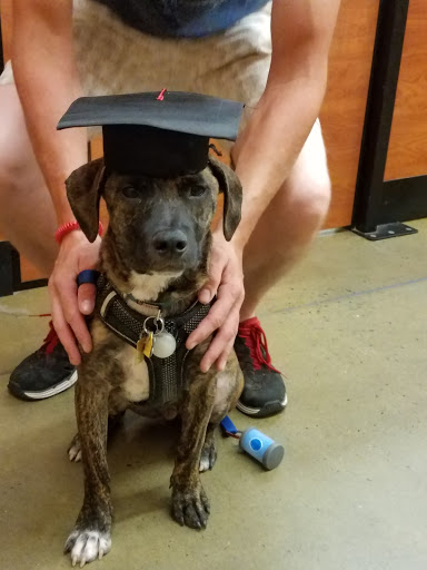 Pet Supply Store «PetSmart», reviews and photos, 132 NJ-31, Flemington, NJ 08822, USA