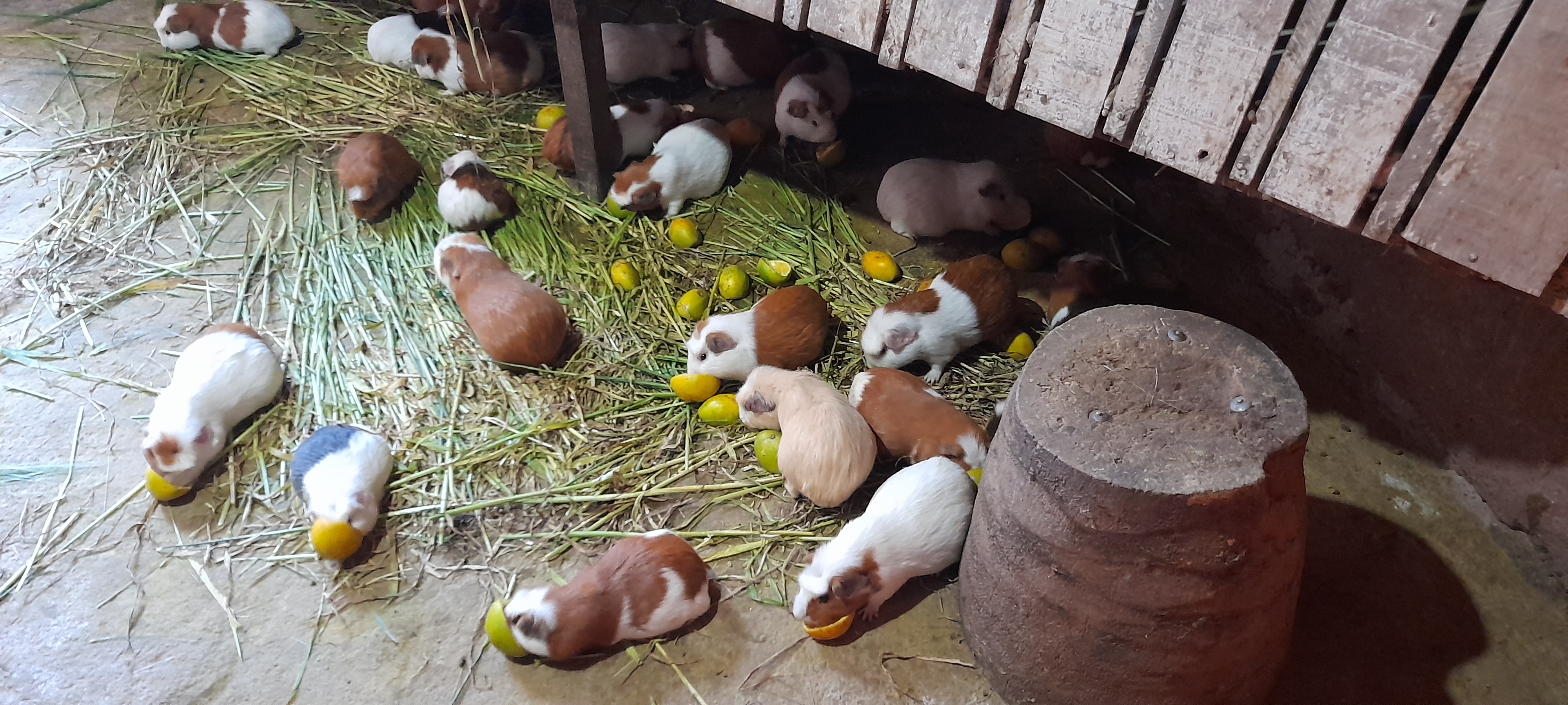 Photo n° 20 de l'avis de Emilia.o fait le 17/10/2021 à 20:34