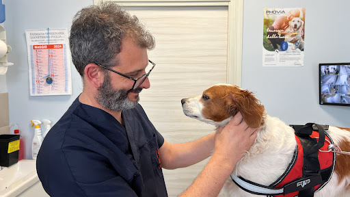 Pensioni per cani e dog hotel a Clinica Veterinaria LocoVET