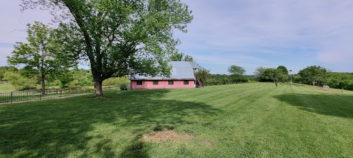 Winery «Wild Sun Winery», reviews and photos, 4830 Pioneer Rd, Hillsboro, MO 63050, USA