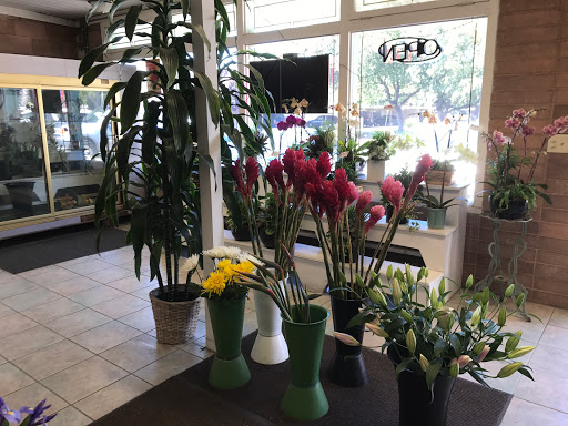Fujii Florist, 1900 Warburton Ave, Santa Clara, CA 95050, USA, 