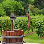 Photo n°6 de l'avis de Maria.r fait le 21/09/2021 à 14:39 sur le  Agriturismo da Garbonier à Refrontolo