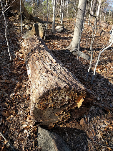 Park «Bringhurst Woods Park», reviews and photos, 5001 Washington Street Extension, Wilmington, DE 19809, USA