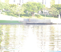 Chris Saunders Park photo