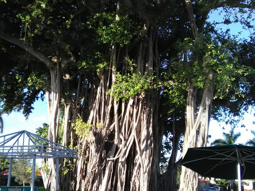 Golf Club «Normandy Shores Golf Course», reviews and photos, 2401 Biarritz Dr, Miami Beach, FL 33141, USA