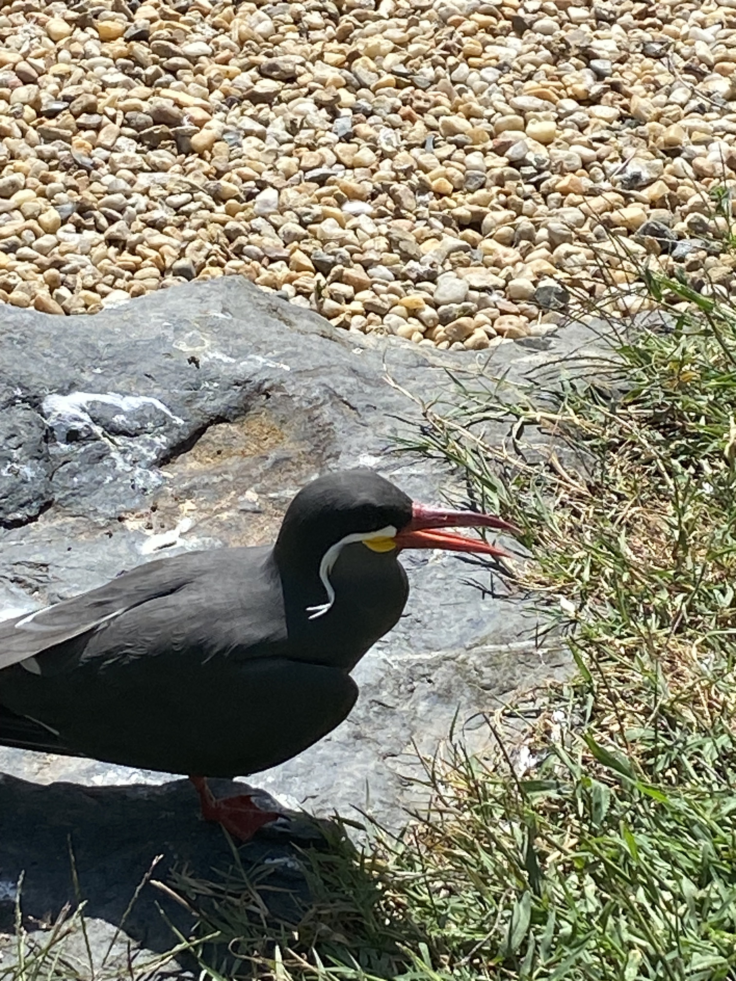 Photo n° 10 de l'avis de Nicolas.h fait le 09/08/2023 à 21:02