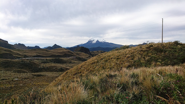 Reserva Ecológica Antisana - Camping