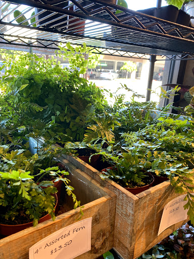 Florist «Blossoms Flower Shop», reviews and photos, 147 E Sailer Dr, San Mateo, CA 94403, USA