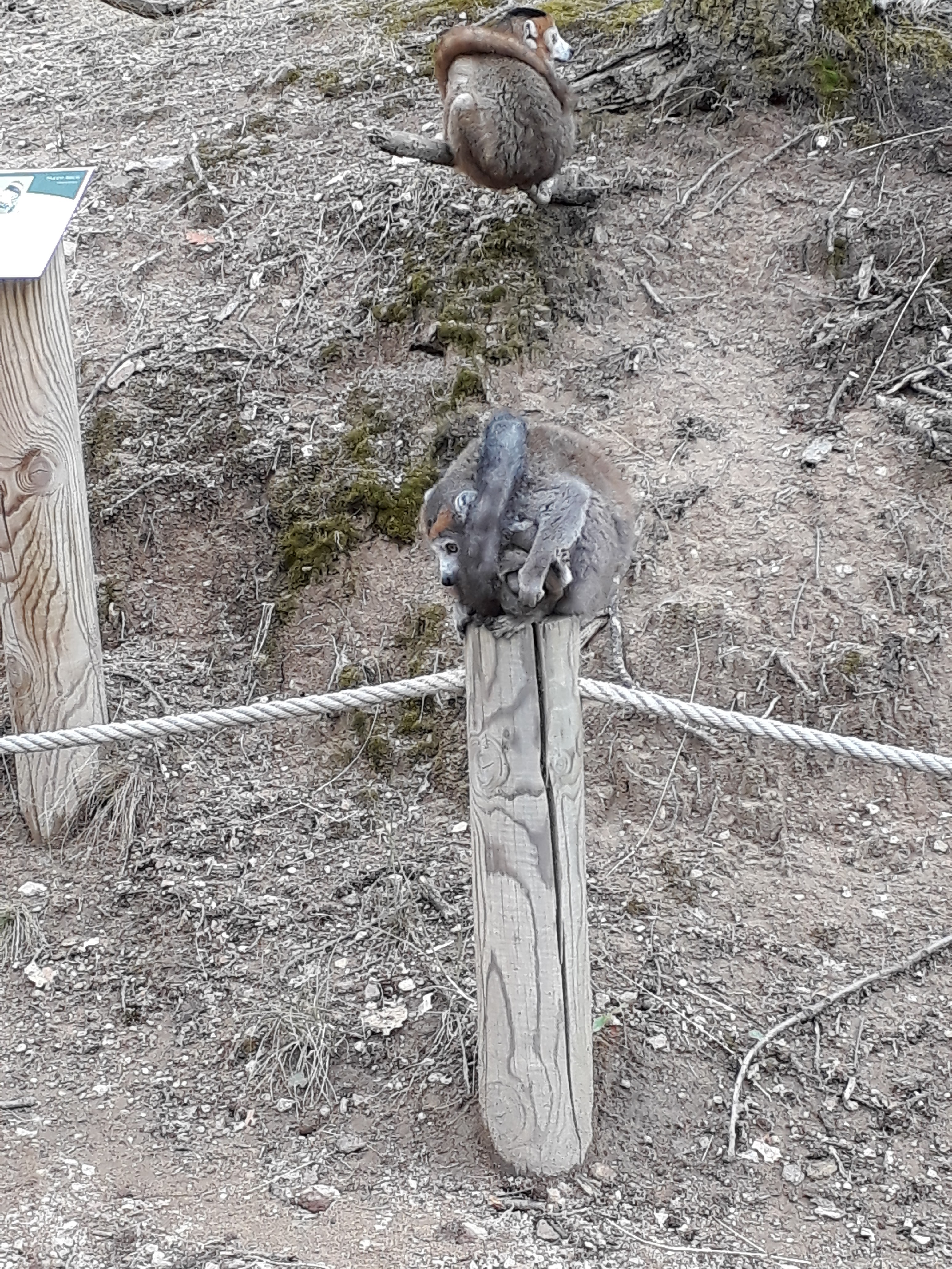 Photo n° 34 de l'avis de Stef.e fait le 15/08/2018 à 14:06