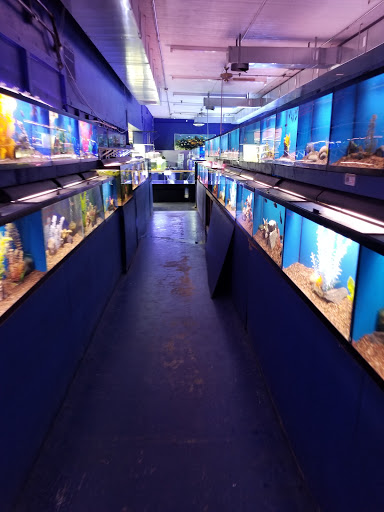 Tropical Fish Store «Tropi-Quatics Pet Center», reviews and photos, 337 S Main St, Lombard, IL 60148, USA