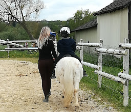 Hof Grundmann Partyservice und Erlebnishof Weihnachtsbäume selber schlagen photo
