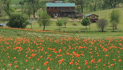 Winery «Third Hill Winery @ DeMello Vineyards», reviews and photos, 2110 Quicksburg Rd, Quicksburg, VA 22847, USA