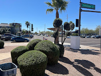 Dakota Landscaping and Maintenance - Photo 2 - Car repair in Glendale, AZ, Glendale