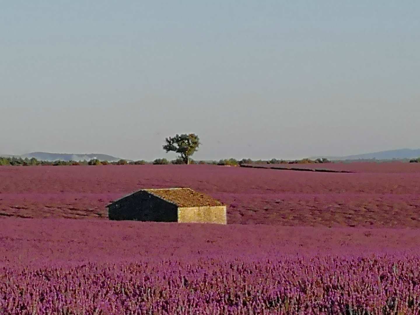 Photo n° 3 de l'avis de jian.u fait le 28/07/2019 à 22:09