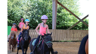 Ferme Equestre du Gué à Saint-Martin-le-Bouillant