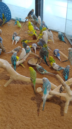 Pet Store «Lebanon Pet & Aquarium Center», reviews and photos, 196 S Main St, West Lebanon, NH 03784, USA