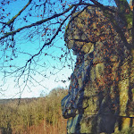 Photo n° 1 de l'avis de marie-claude.a fait le 28/08/2022 à 14:51 pour Roc la Tour à Monthermé