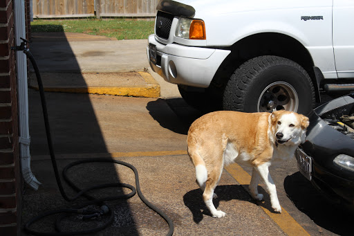 Oil Change Service «Protime Automotive», reviews and photos, 4880 Haygood Rd, Virginia Beach, VA 23455, USA