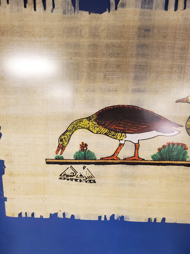 Thrift Store «48th & Baseline Goodwill Retail Store & Donation Center», reviews and photos, 2700 W Baseline Rd, Tempe, AZ 85283, USA