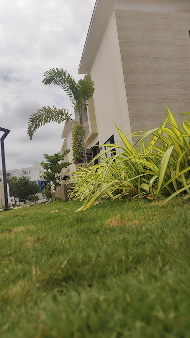 Google Maps image 26