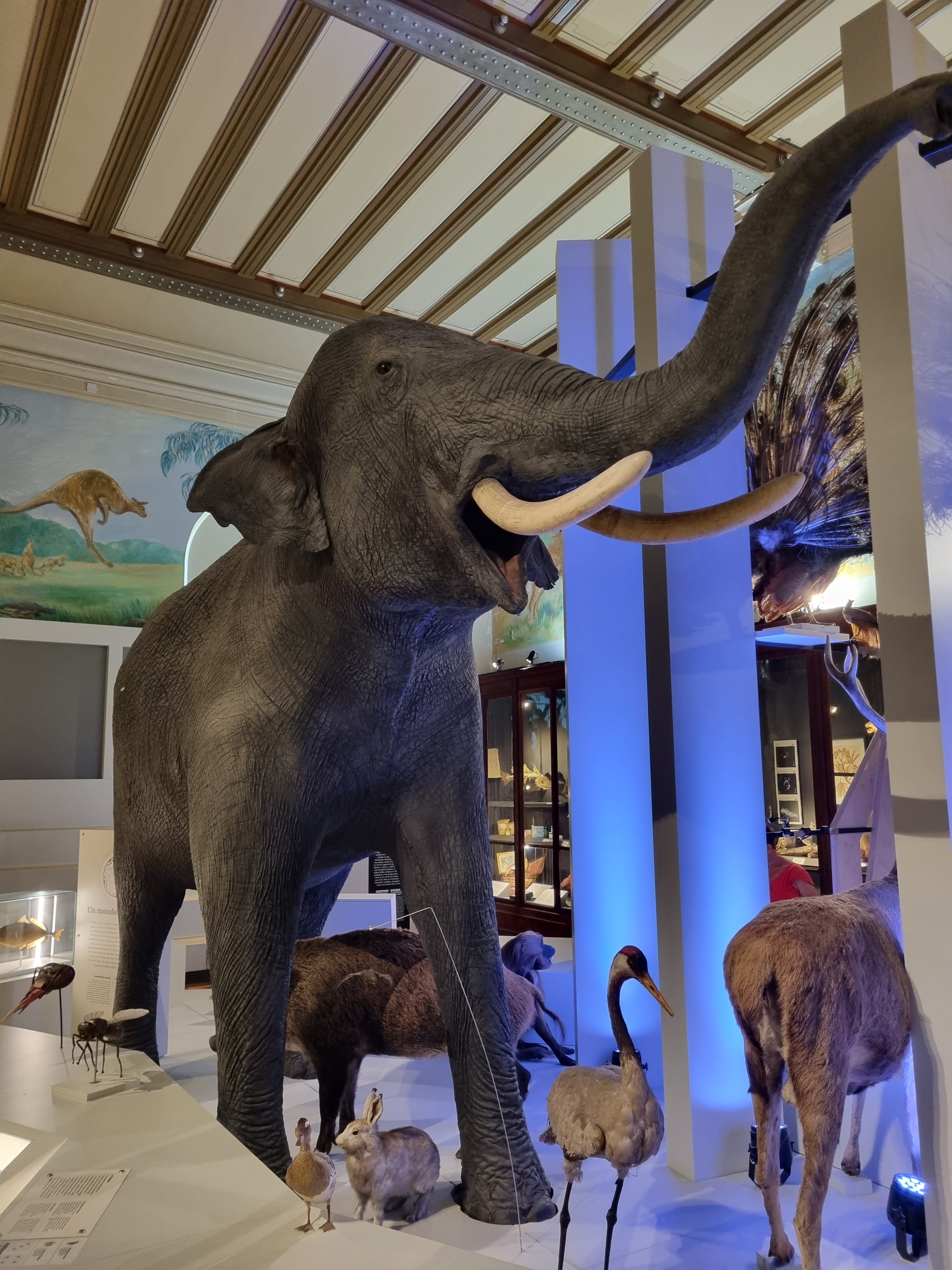 Photo n° 7 de l'avis de Jean-Louis.E fait le 15/08/2023 à 21:58