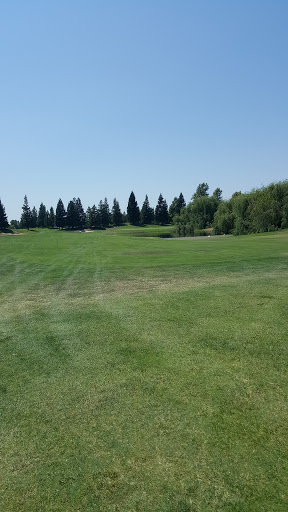 Golf Club «WildHawk Golf Club», reviews and photos, 7713 Vineyard Rd, Sacramento, CA 95829, USA