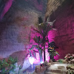 Photo n° 9 de l'avis de estelle.o fait le 23/10/2022 à 19:31 pour Les Cathédrales de la Saulaie à Doué-la-Fontaine