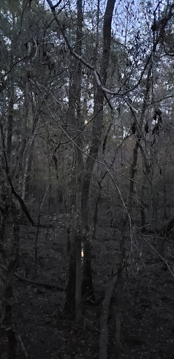 National Park «Congaree National Park», reviews and photos, 100 National Park Rd, Hopkins, SC 29061, USA