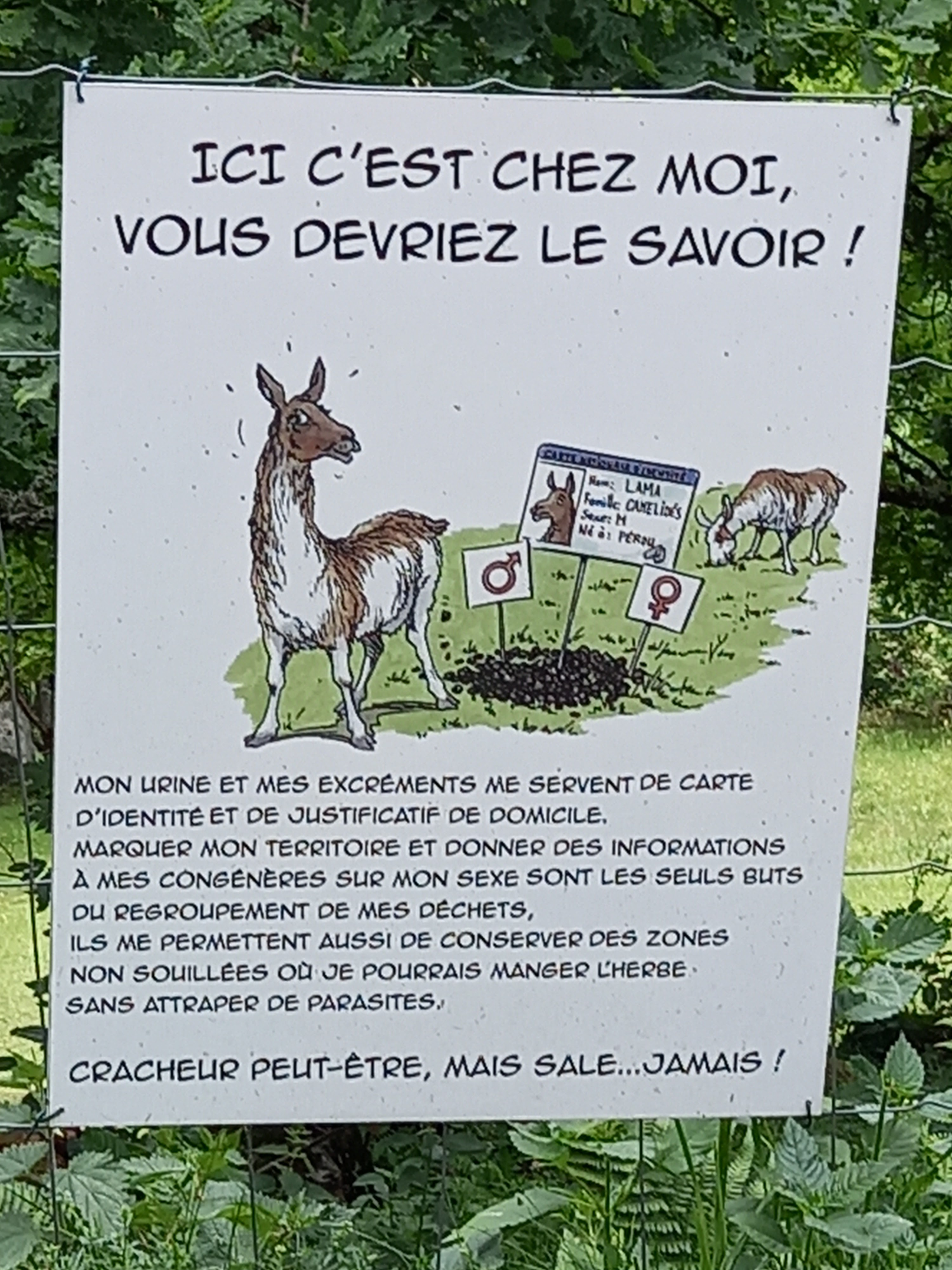 Photo n° 37 de l'avis de durduret.i fait le 06/06/2022 à 14:20