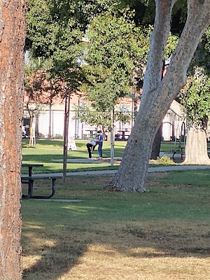 Paramount Park - photo 71