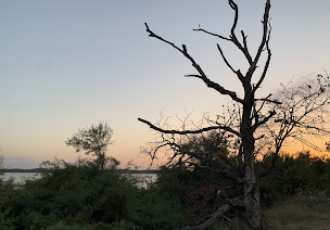 Photo n°10 de Jetée d'Arès à Arès ()