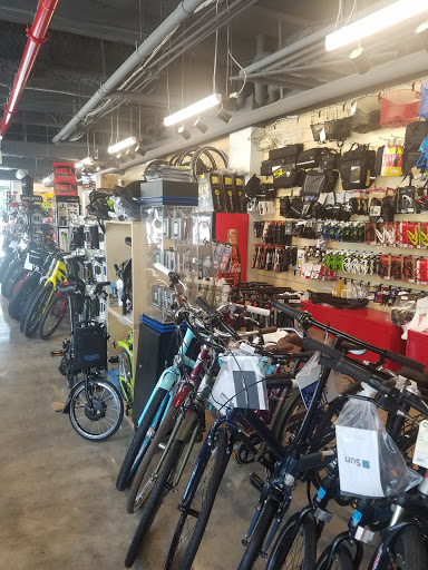 Bicycle Store «Miami Beach Bicycle Center», reviews and photos, 746 5th St, Miami Beach, FL 33139, USA