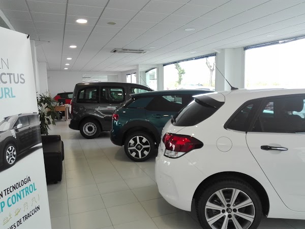 Citron Hucar - Sucursal Lepe