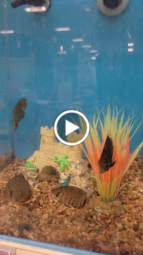 Pet Supply Store «Petco Animal Supplies», reviews and photos, 475 S Wadsworth Blvd, Lakewood, CO 80226, USA